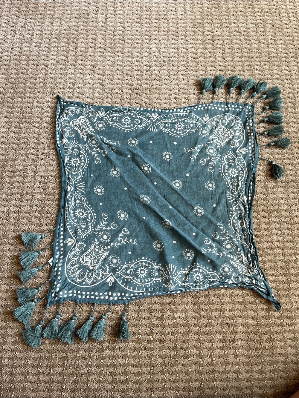 NATURAL LIFE Teal Paisley Tassel Scarf - Picture 3 of 3